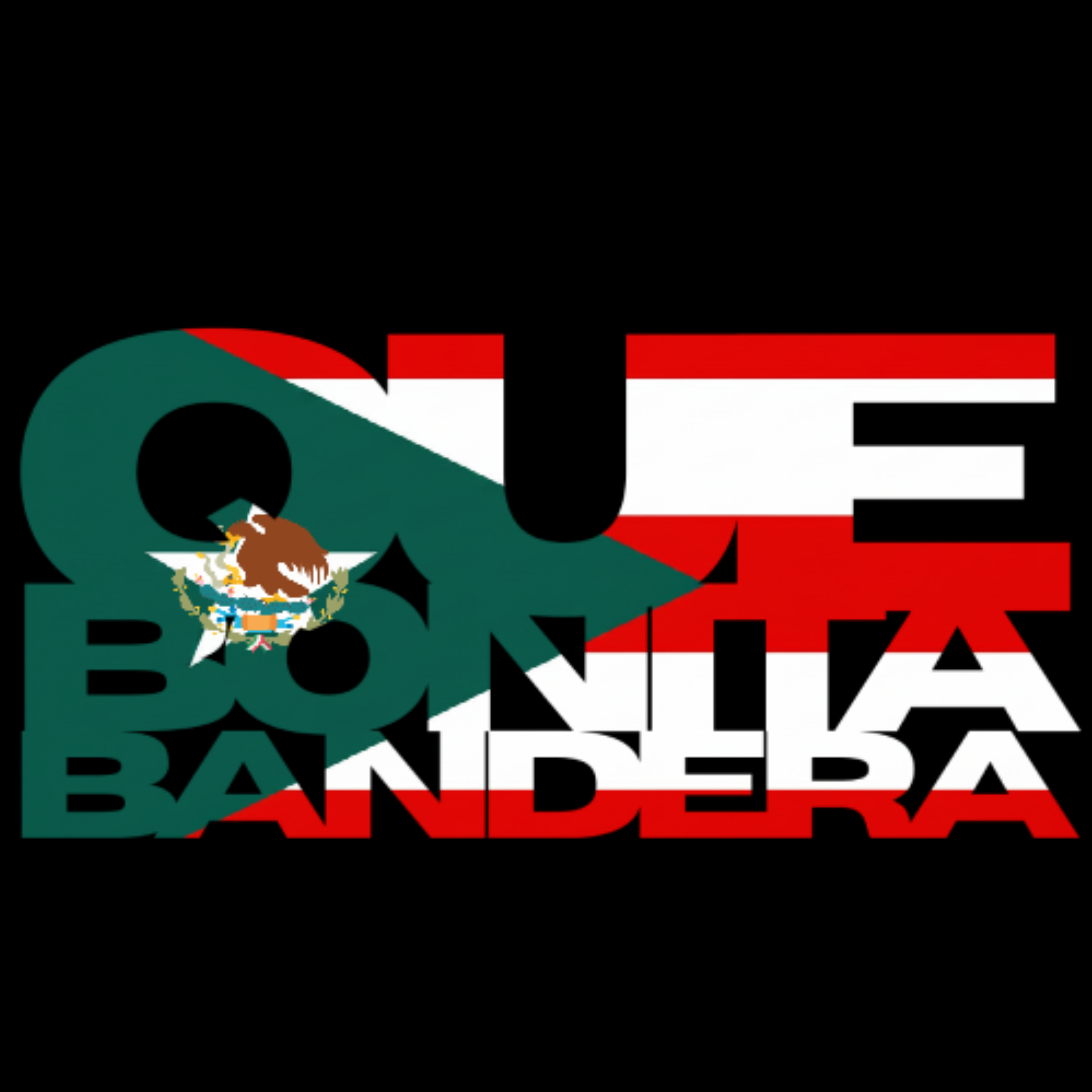 "Que Bonita Bandera"' T-Shirt